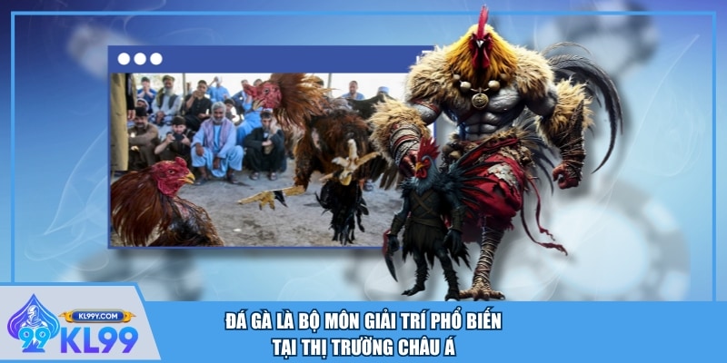 Đá gà là bộ môn giải trí phổ biến tại thị trường châu Á