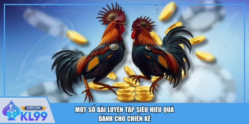 Một số bài luyện tập siêu hiệu quả dành cho chiến kê