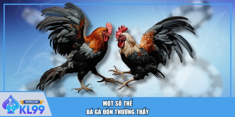 Một số thế đá gà đòn thường thấy